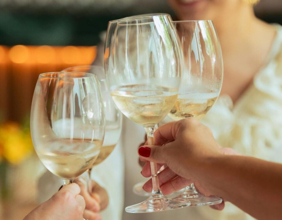 people clinking wine glasses to illustrate a beginners guide to wine tasting