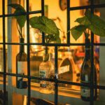 Eco-friendly pubs illustrated by plants in repurposed alcohol bottles on windowsill of bar