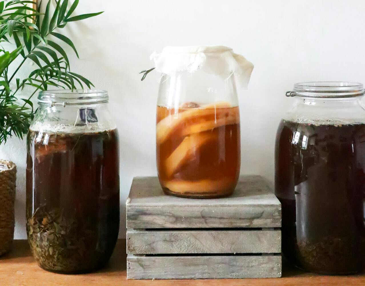 homemade fermented tea, one of the best non-alcoholic drinks